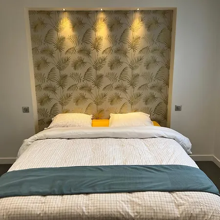 Contemporaine Avec Piscine